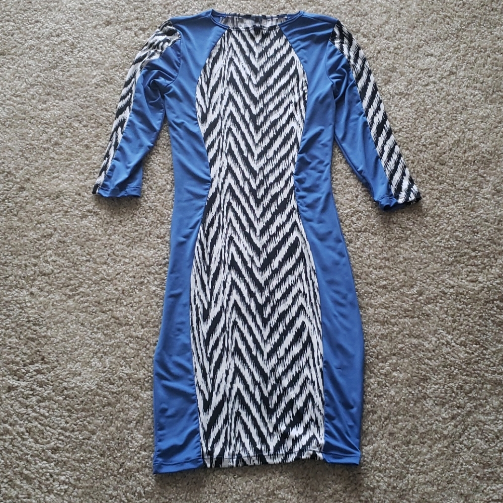 Blue with Zebra stripes Dress